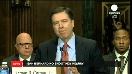 FBI DYSHON SE SULMET NE KALIFORNI ME 14 VIKTIMA U PLANIFIKUAN NE  VITIN 2012 LAJM