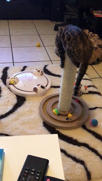 loki le jongleur