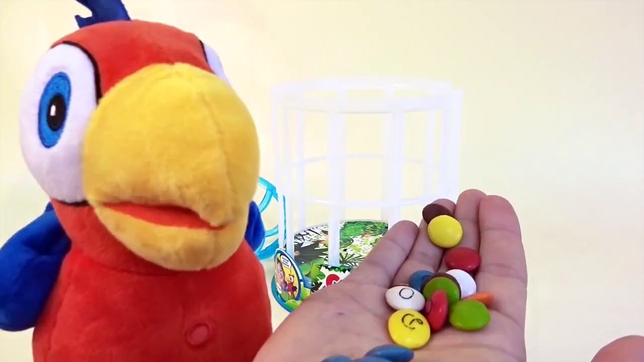 Juguetes Interactivos Loro Charlie que repite todo lo que dices