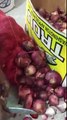 Drug Recovered from Onion in Saudi Arabia - Exclusive Video