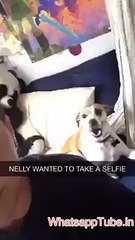 funny VID-20151027-WA0050