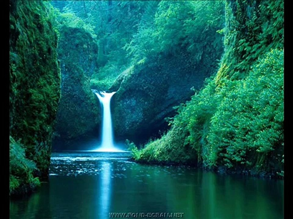 Eaux Oiseaux musique relaxation