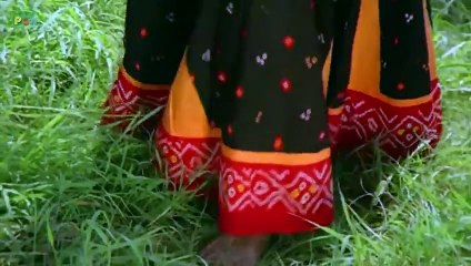 Jackie Shroff Inspecting The Forest - Comedy Scene - Main Tera D