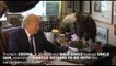 This Bald Eagle Is Just Not Having It With Donald Trump