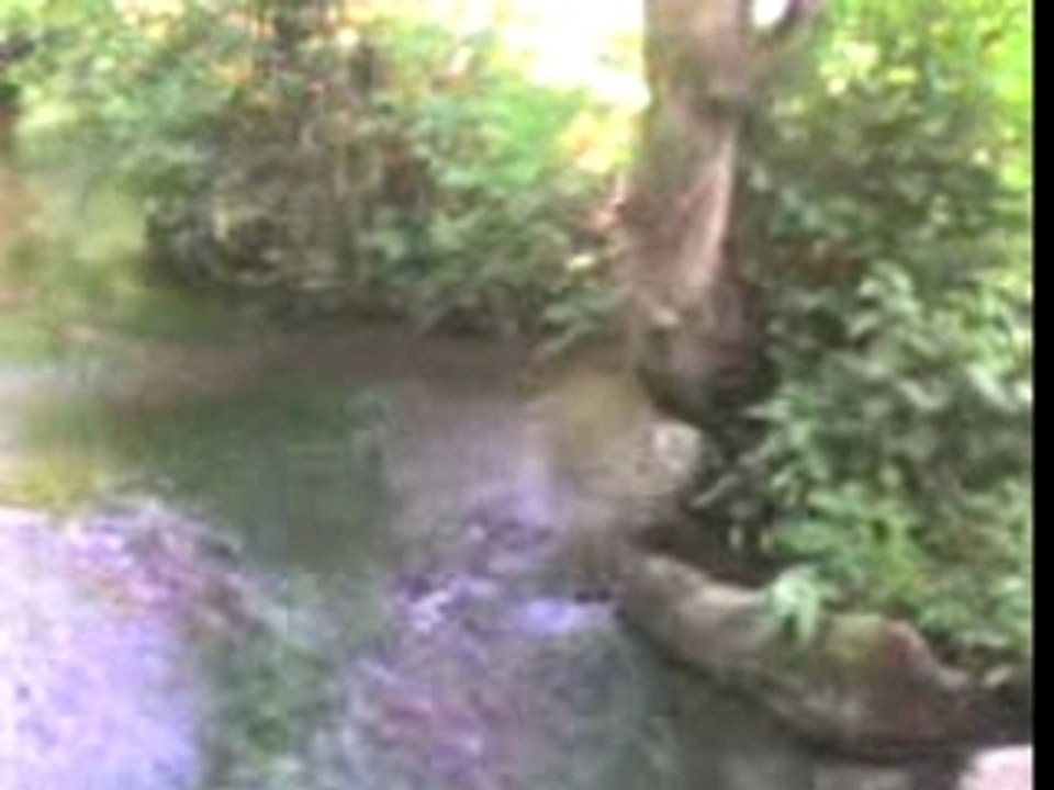 la riviere