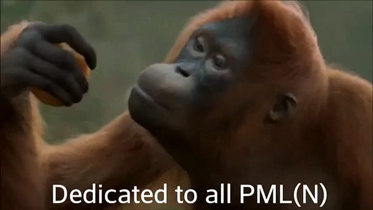 hahaahaha funy video
