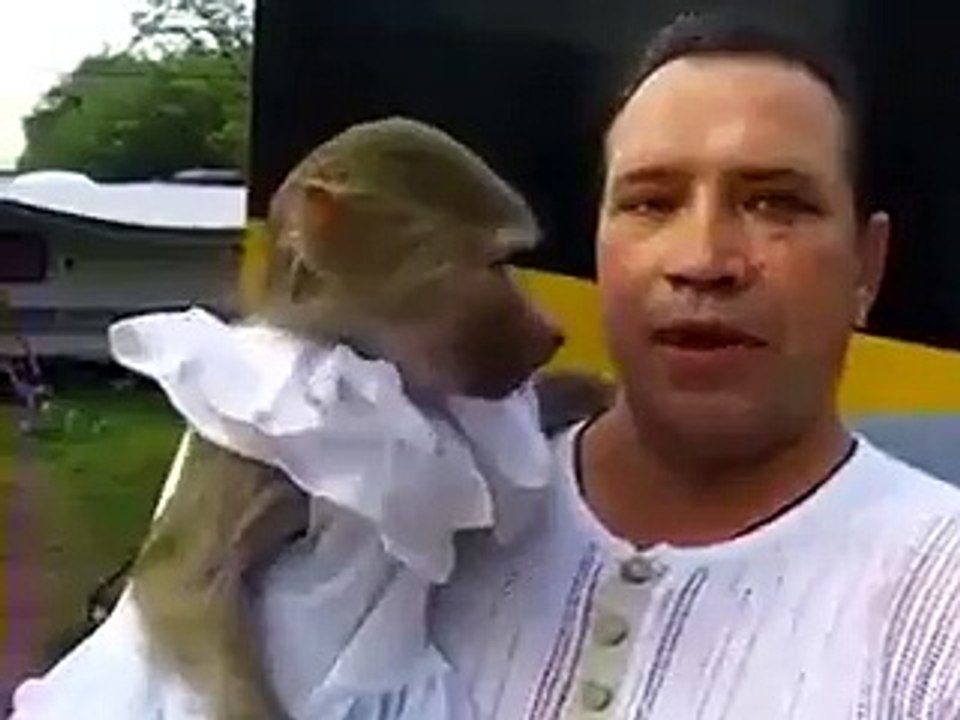 hahaah funny video