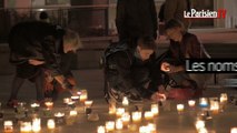 Lyon : le lumineux hommage  aux victimes des attentats parisiens