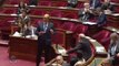 QAG - Réponse d'Harlem Désir à la question du sénateur Robert LAUFOAULU sur le Sommet France-Océanie