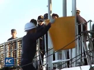 33 countries protest Japanese whaling