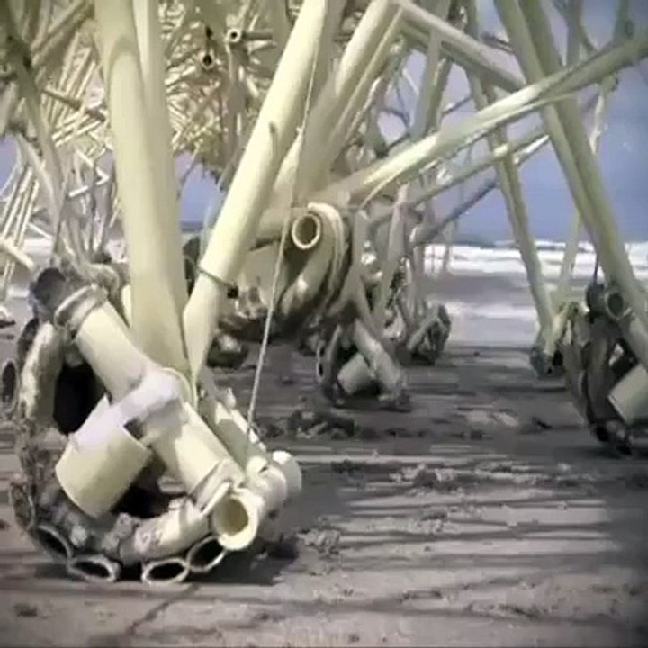 (6) Funny Videos