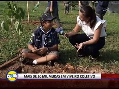 MAIS DE 20 MIL MUDAS EM VIVEIRO COLETIVO