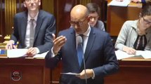 QAG - Réponse d'Harlem Désir au sénateur Jean-Claude Requier sur la COP 21