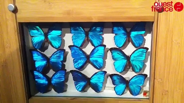 Créatures au château des Ducs