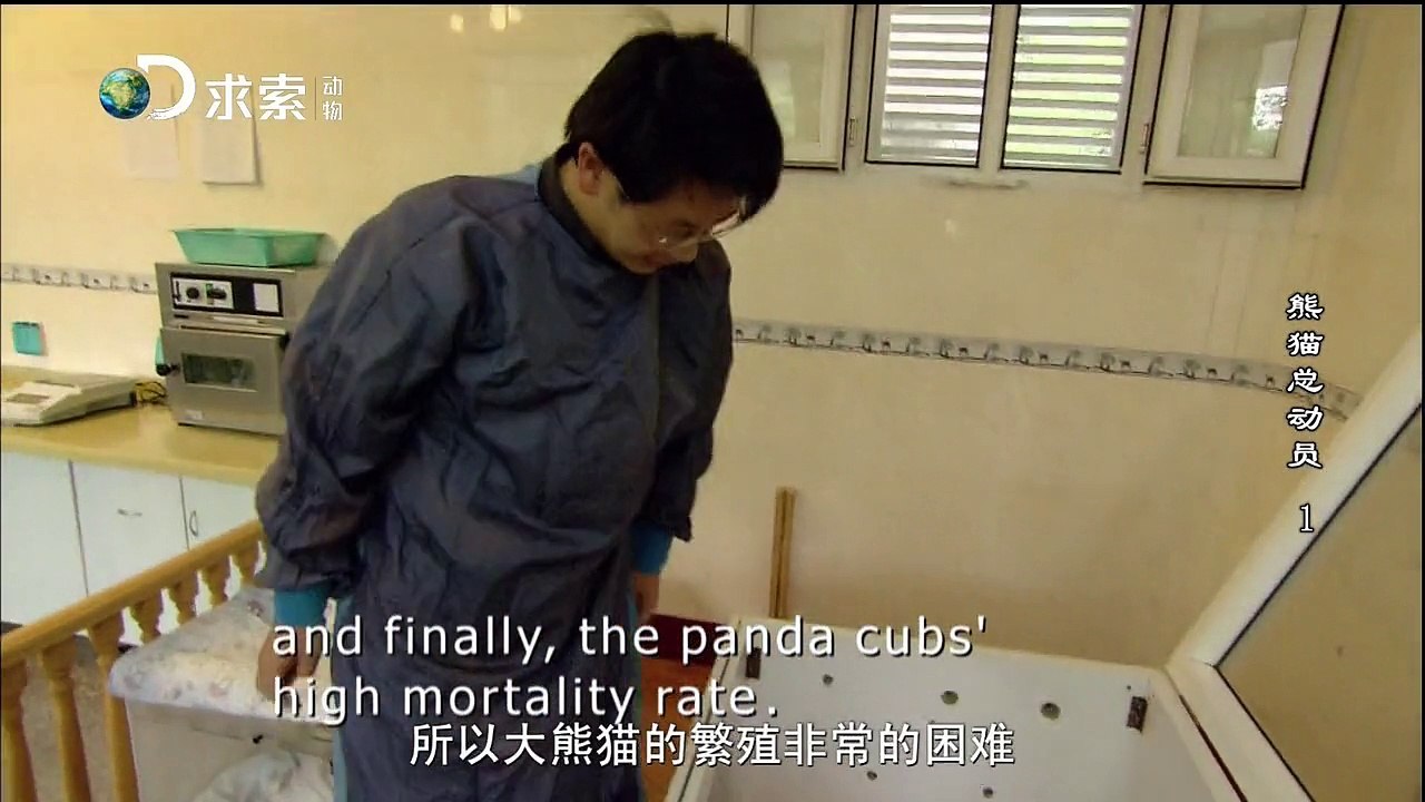 熊猫总动员01