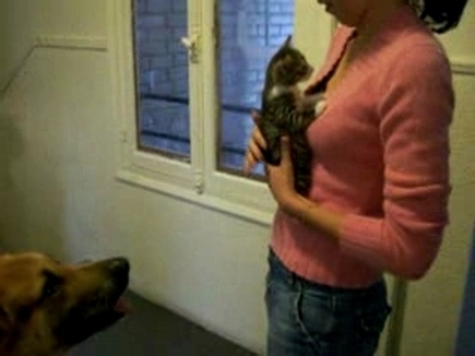 Photo 005