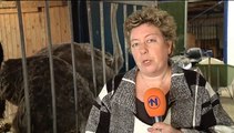 Het Weer: Harma bie de boer [10-12-2015] - RTV Noord