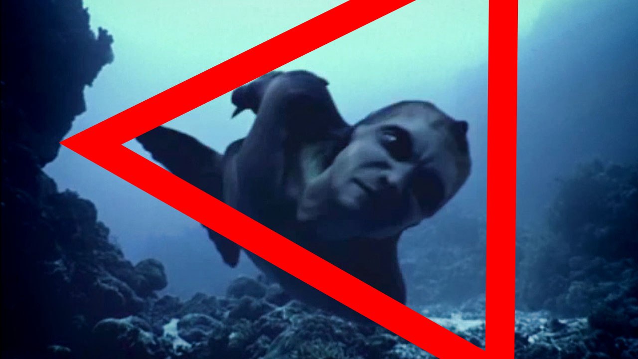 Echte MEERJUNGFRAUEN die eine Kamera aufgefangen hat (Meerjungfrauen Beweise) DE