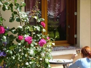 Mosaïque : Art et Technique