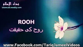 Rooh Ki Haqiqat - Molana Tariq Jameel VIdeo