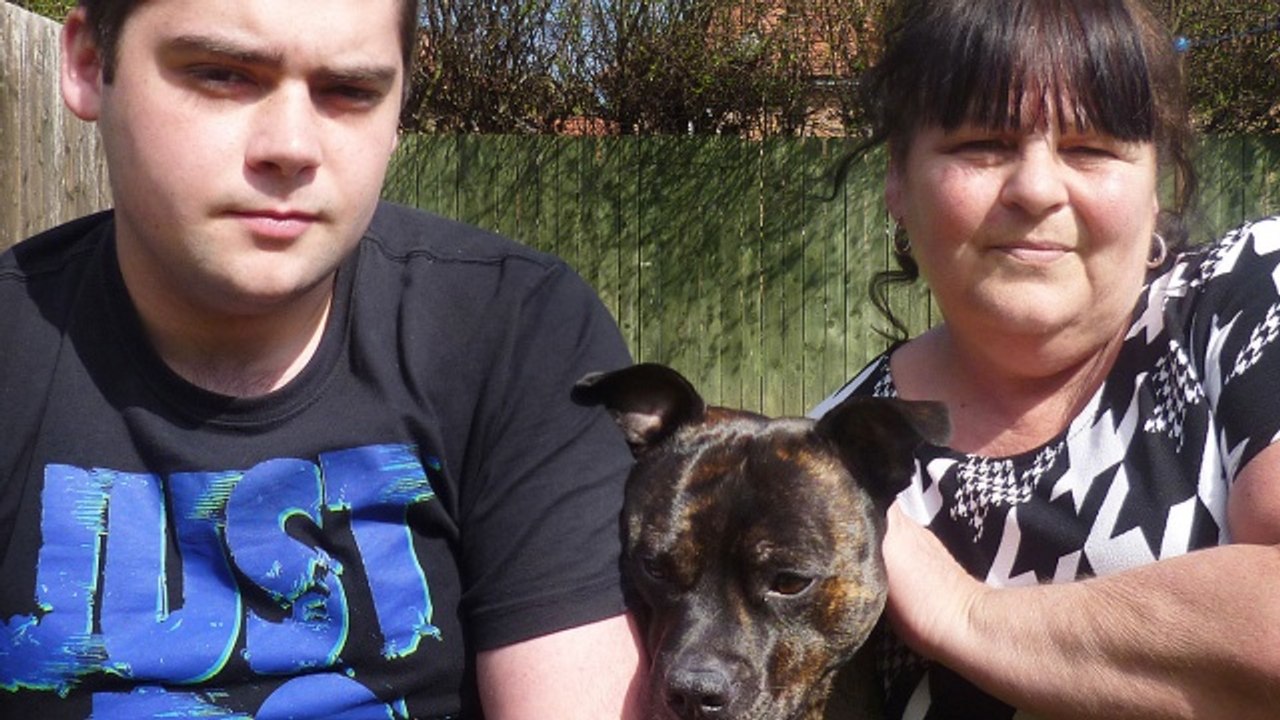 Documentary - Dogs on the Dole