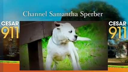 Cesar 911 S2 Ep1 Loaded Gunny