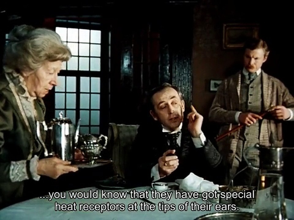 Adventures of Sherlock Holmes and doctor Watson - Hound of the Baskervilles. Part 6 (1)