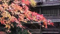 Autumn at Mino Koen Mino Park, Japan