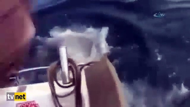 Yakaladığı Büyük Balığı Oltada Çalan Köpek Balığı! Shark Steals Fisherman's Catch In New Zealand!