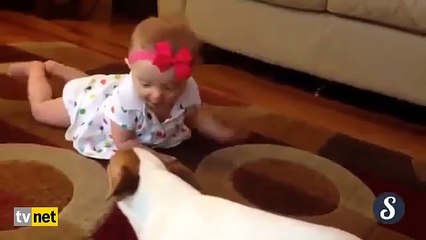 Şirin Bebeğe Sürünmeyi Öğreten Köpek Çok İlginç! Dog teaches baby how to crawl OMG!!