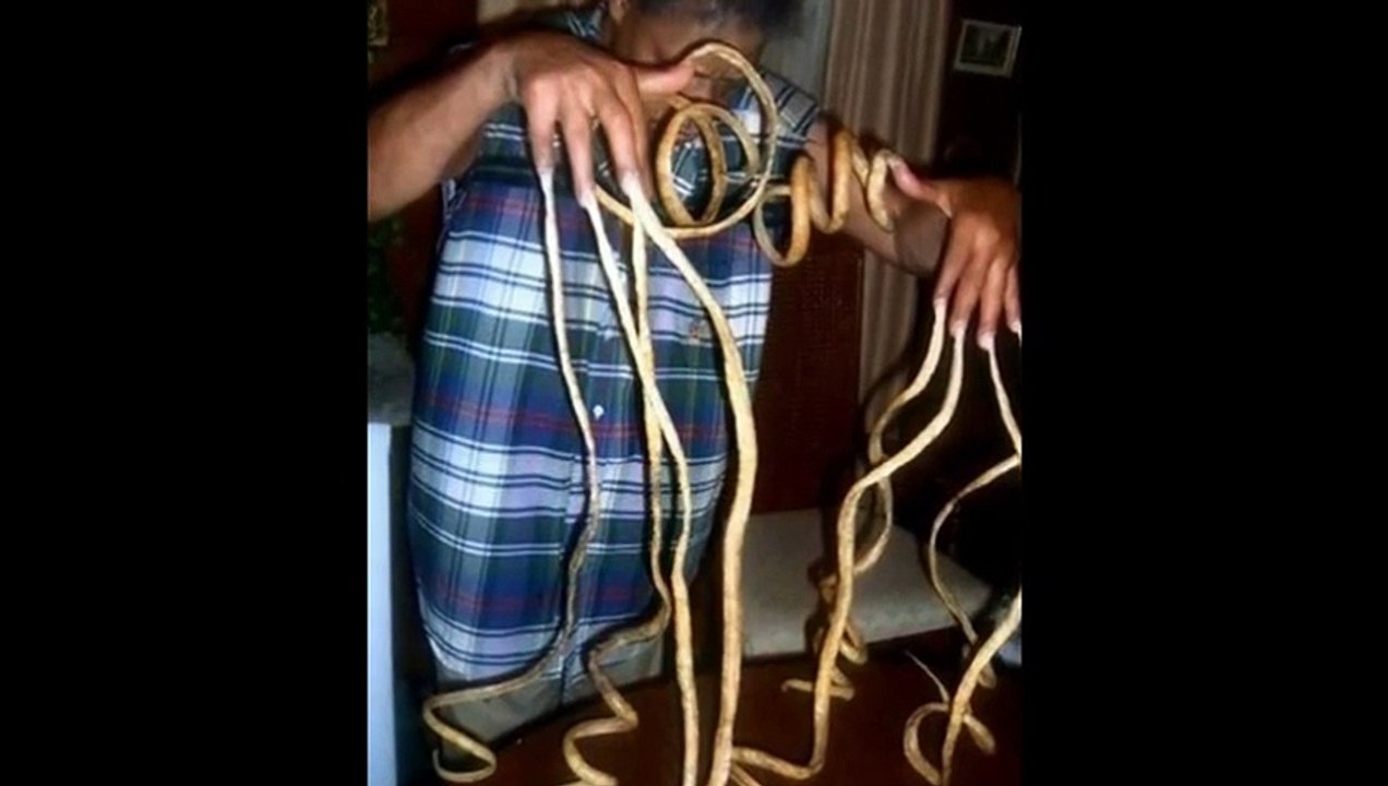 The World's Longest Fingernails -GUINNESS WORLD RECORD- OMG Bizarre Thing!