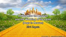 Do Not Miss the Rapture and the Wedding of the Lamb! (Dogs in Heaven) - Elvi Zapata