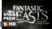 Fantastic Beasts and Where to Find Them Official Sneak Peek #1 (2016) - Eddie Redmayne Movie HD