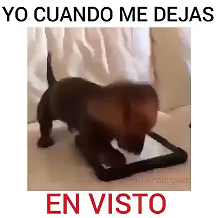 Cuando me dejan en visto