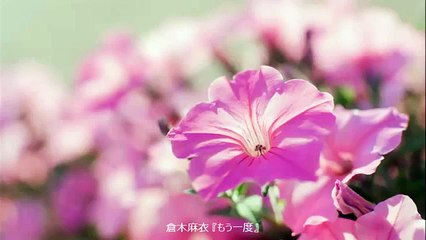 【名探偵コナン MAD】もう一度 【新一&蘭】