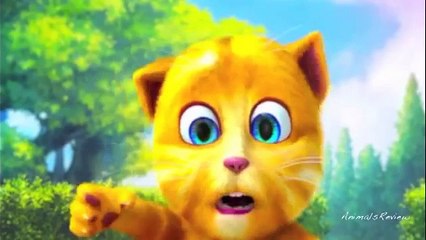 Chú mèo con - Nhạc thiếu nhi vui nhộn