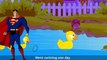 Five Little Ducks Went Out One Day - 3D Animation Five Little Ducks Nursery Rhyme for chil