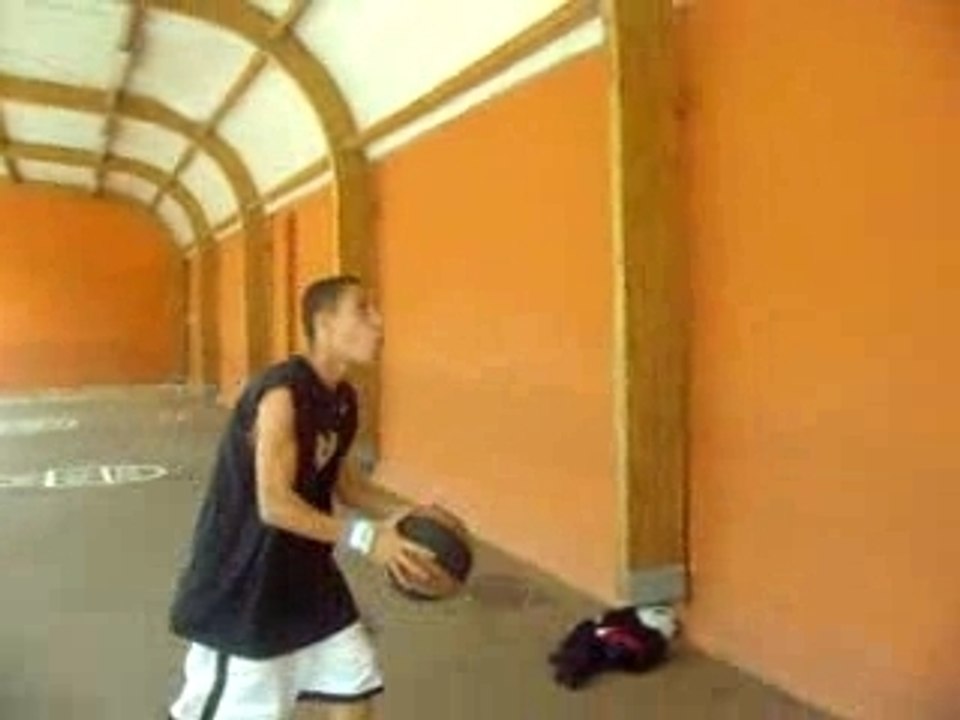 dunk du grizz stromile SWIFFFTT!!!!!!!