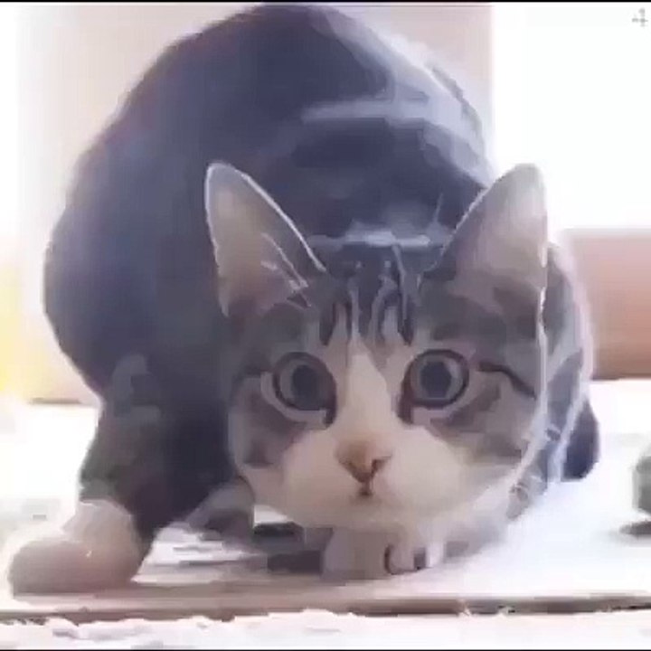 Funny Or Die