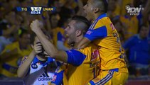 TIGRES VS PUMAS 3-0 GOL Rafael Sóbis FINAL IDA Liga MX Apertura 2015 [HD]