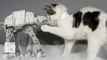 Kittens recreate 'Star Wars' with amazing Jedi meow tricks