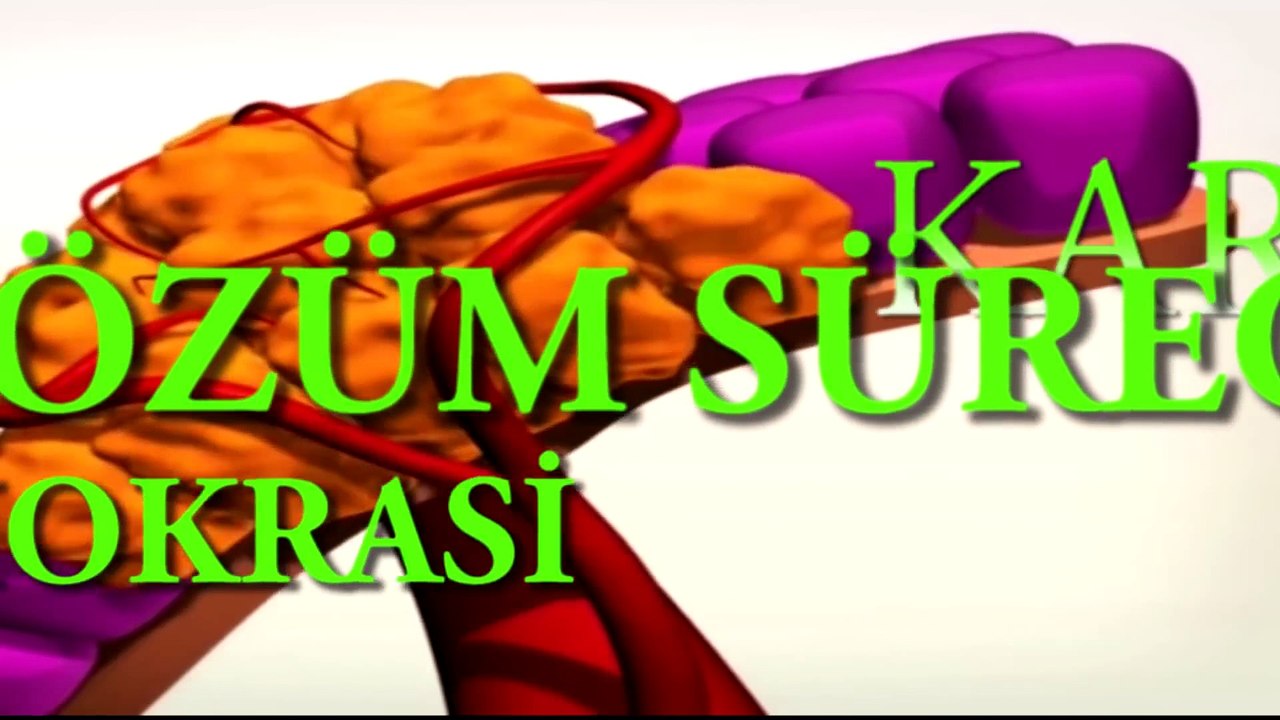 Banu Avar ile YORUM _ Kardeşlik Edebiyatı