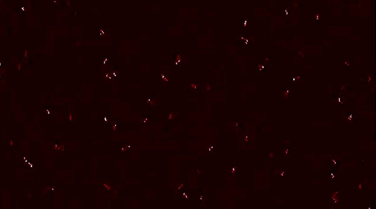 LAOSSA intro pour video