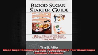 Blood Sugar Beginners Guide Understanding Your Blood Sugar Solution  Diabetes
