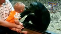 Adoráveis animais beijar crianças - animais engraçados e crianças (selecção)