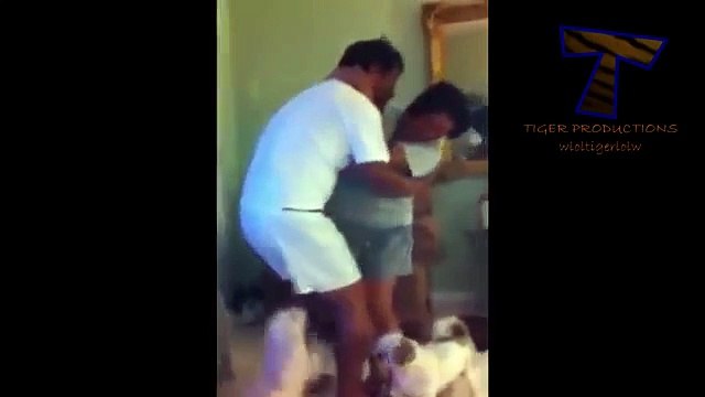 Cão engraçado com ciúmes - cão engraçado ciumento (coleção)
