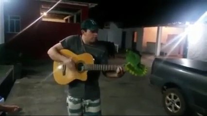 Chanteur de Parrot. Parrot chante avec une guitare