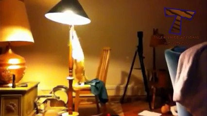 Funny cats irritent propriétaires - Cute Cats (collection)