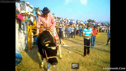 JARIPEO RANCHERO LOS TOROS DE JUAN ZAMUDIO DE SAN ISIDRO MUNICIPIO DE COENEO EN EL PUEBLITO MICHOACAN MEXICO NOVIEMBRE 2015