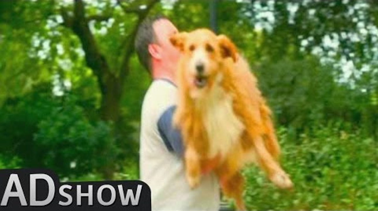 Epic: World's fattest and laziest dog